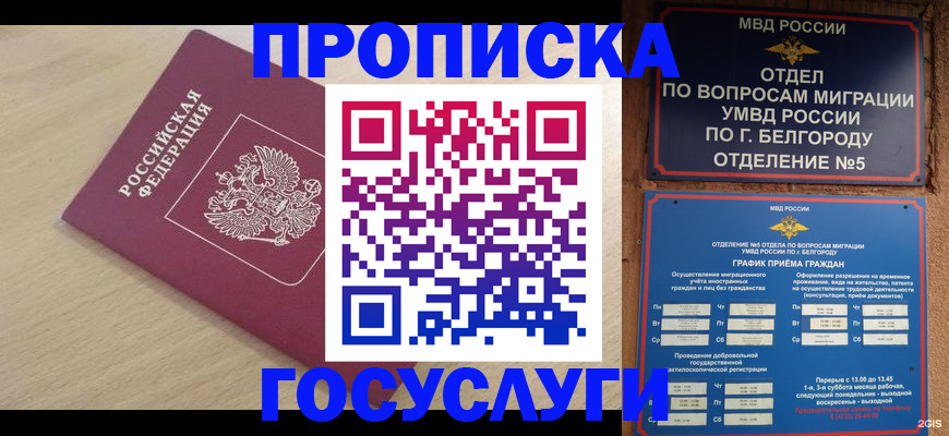 прописка законно в Элисте